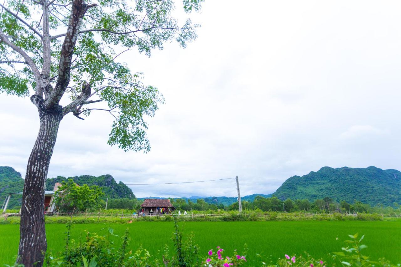 Pomelo Homestay Phong Nha Exterior photo