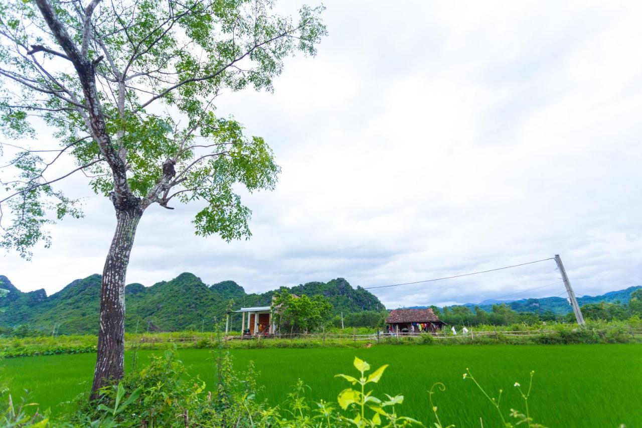 Pomelo Homestay Phong Nha Exterior photo
