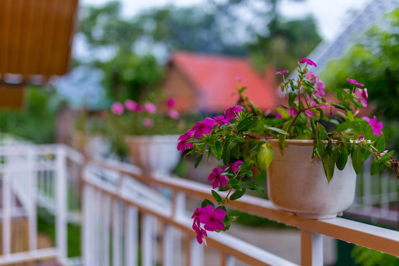 Pomelo Homestay Phong Nha Exterior photo