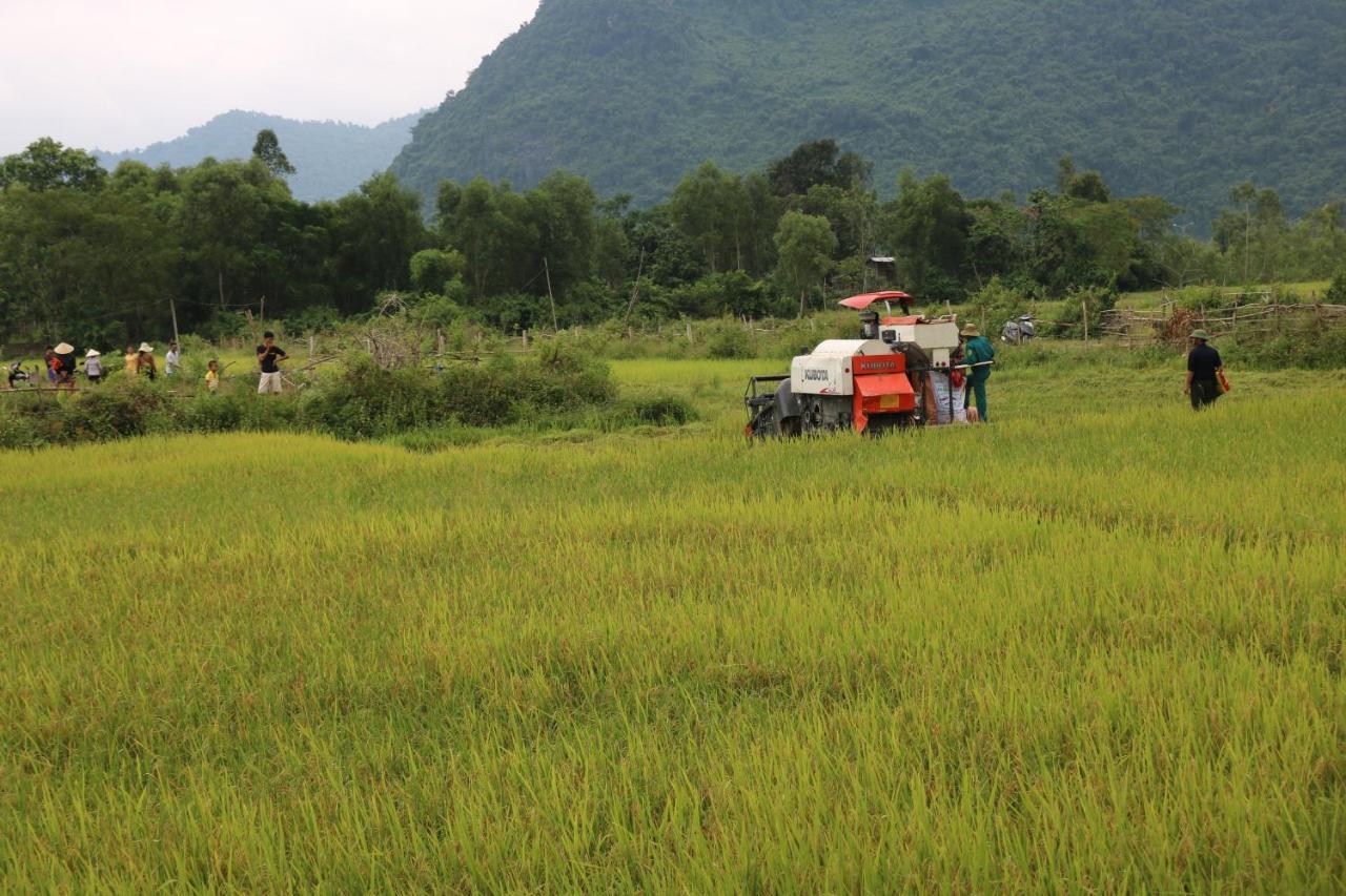 Pomelo Homestay Phong Nha Exterior photo