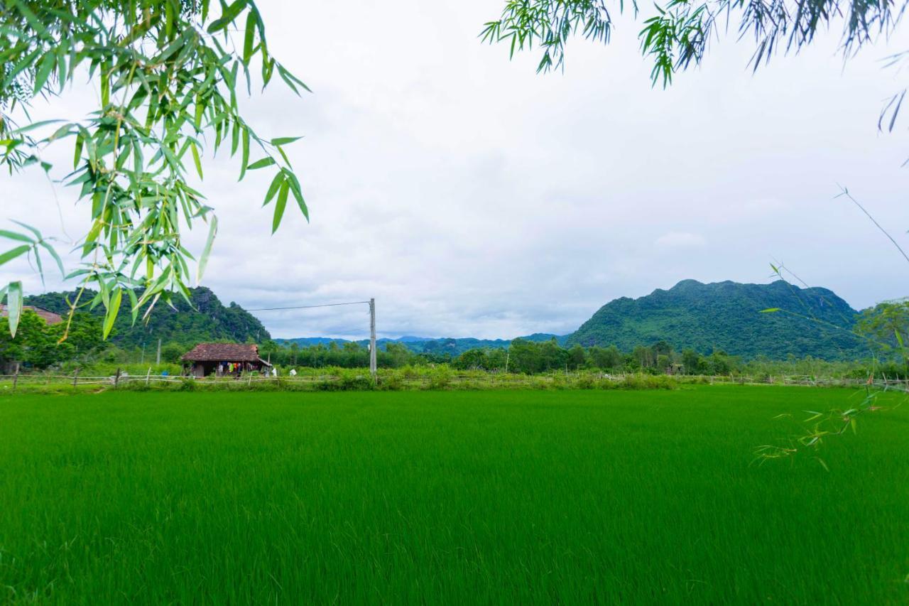 Pomelo Homestay Phong Nha Exterior photo